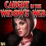 Caught in the Widow's Web thumbnail
